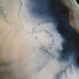 Meet your Posher, Anne